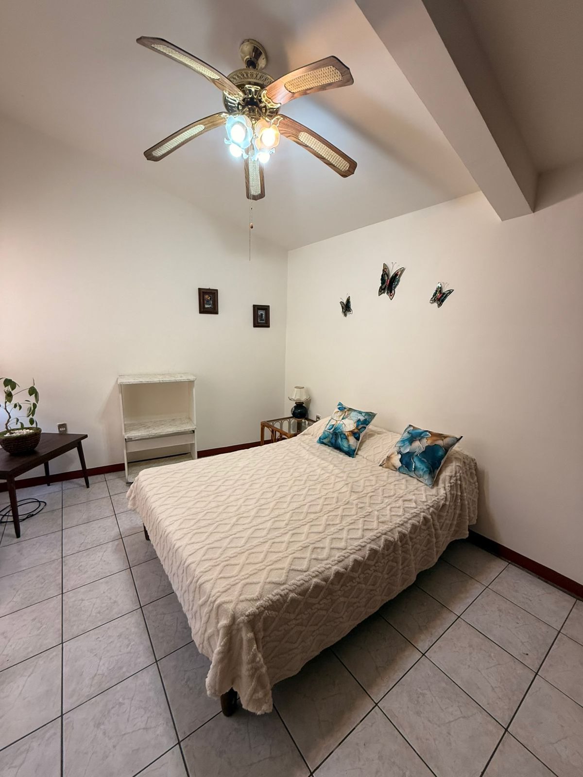 FURNISHED APARTMENT IN COLONIA REFORMA OAXACA