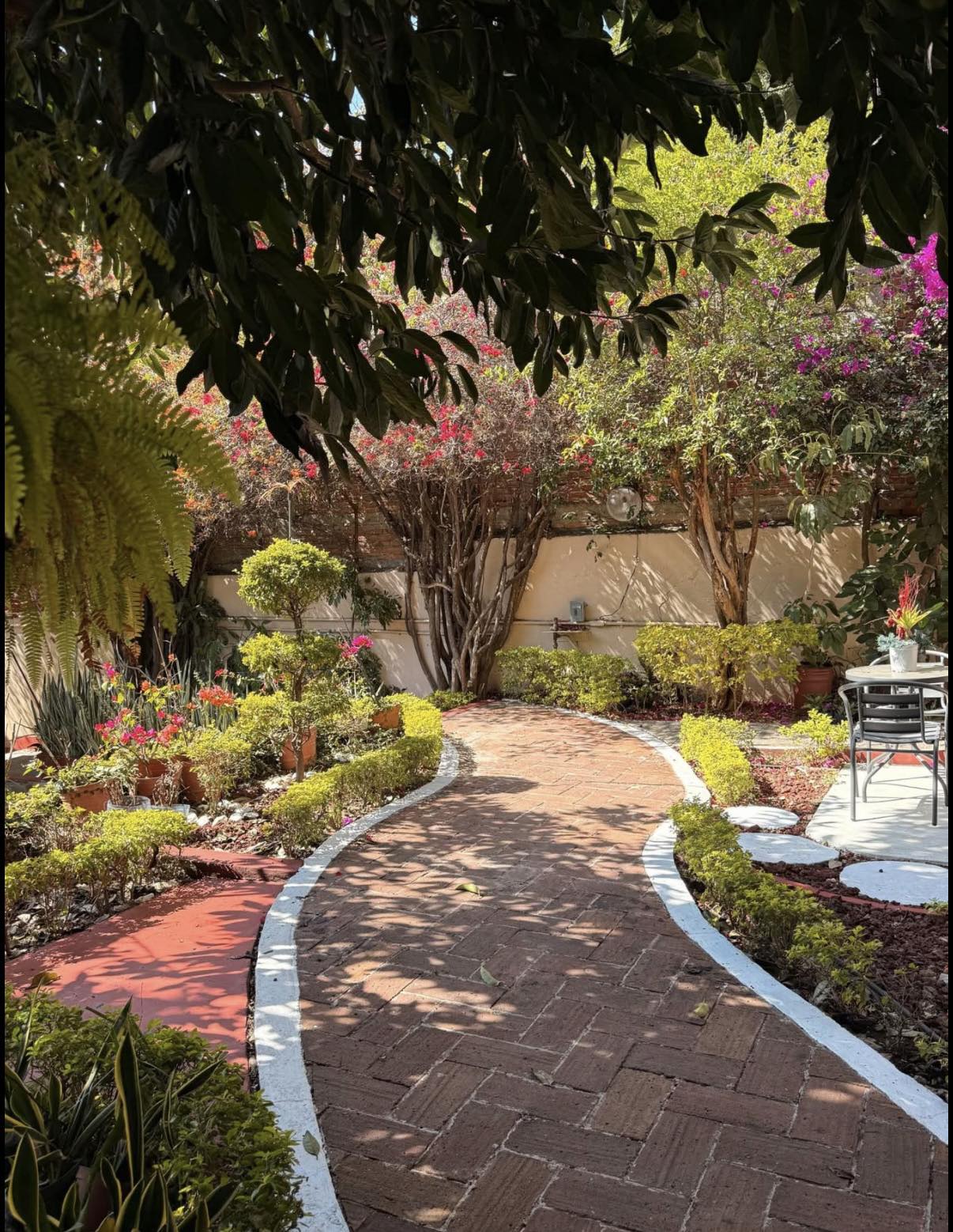 FURNISHED APARTMENT IN COLONIA REFORMA OAXACA