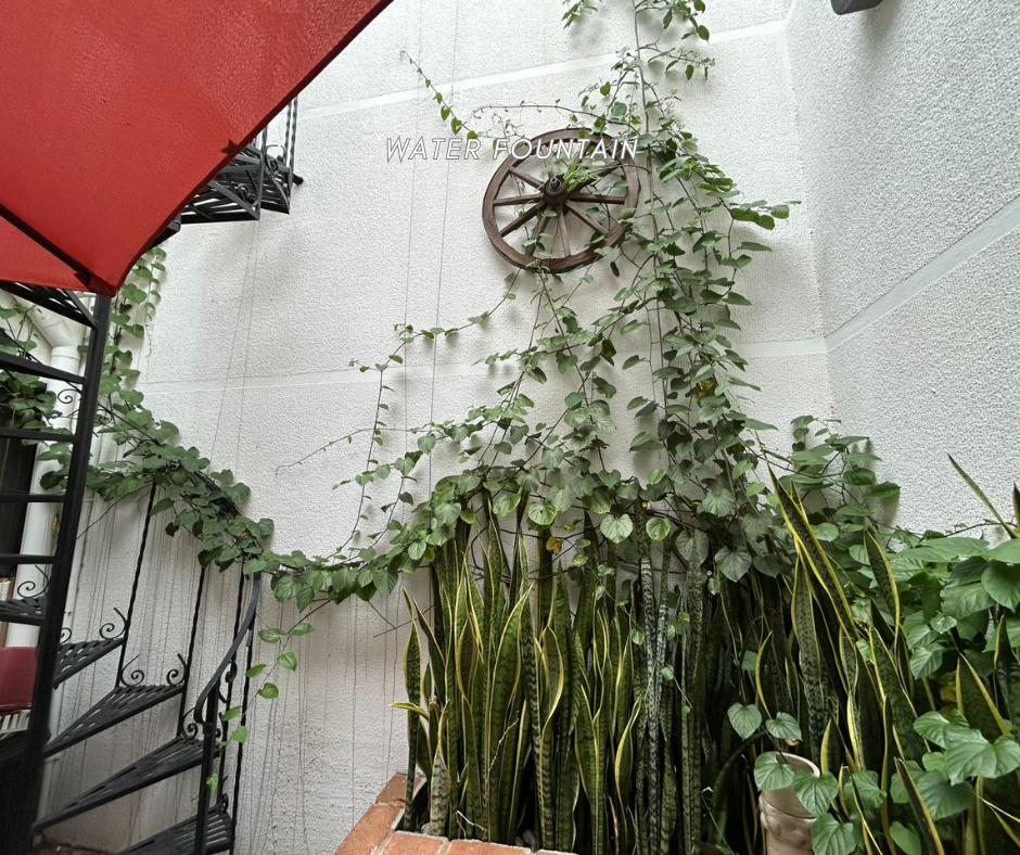 GUEST HOUSE FOR SALE IN DOWNTOWN OAXACA