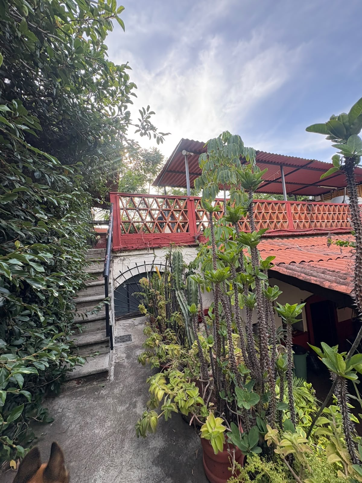 DEPARTAMENTO EN RENTA EN EL CENTRO DE OAXACA