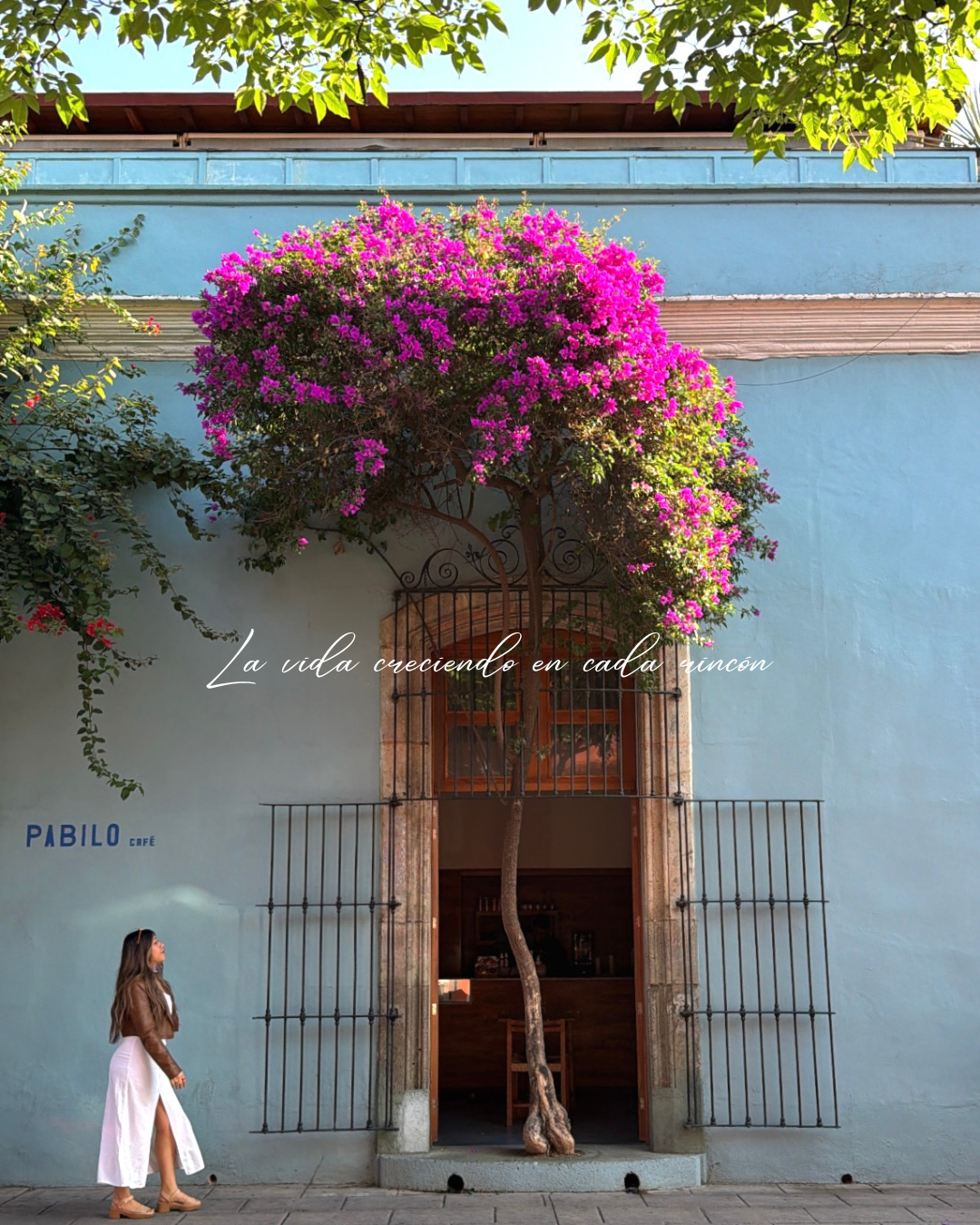 No solo visites OAXACA, encuéntralo como hogar